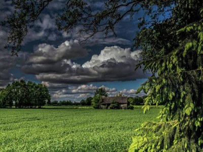 Farmhouse Bauernhaus in Geesteren nahe Wald - Environment photo 34