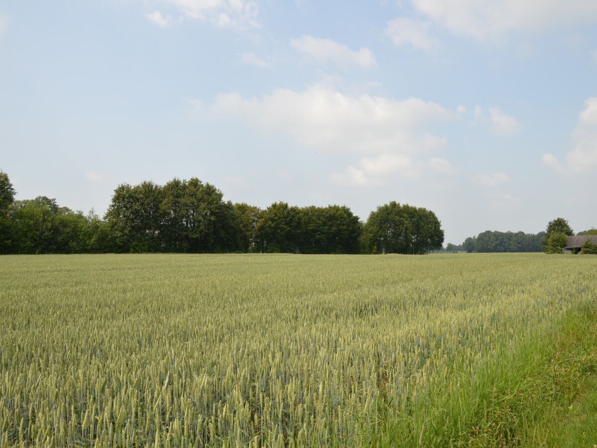 Farmhouse Romantic Farmhouse Escape - Outdoor photo 2