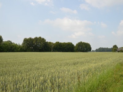 Farmhouse Romantic Farmhouse Escape - Outdoor photo 2