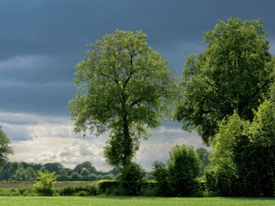 Farmhouse Romantic Farmhouse Escape - Environment photo 20