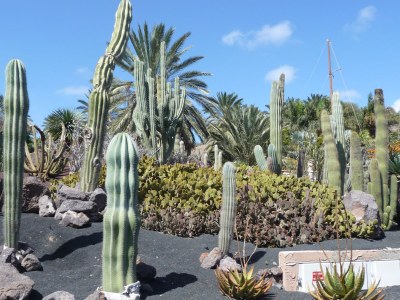 Villa Alejandro, Residencial Panorama Jardin - Environment photo 27