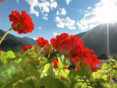 Apartment Apartment in Aschau near Ski Hochzillertal - Outdoor photo 35