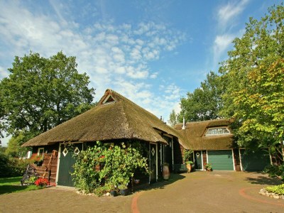 Holiday house Farmhouse in Balkbrug with Sauna - Holiday house