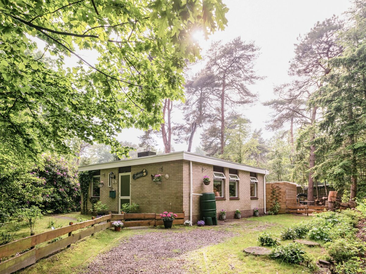 Holiday house Holiday Home in Arriën near Beerze Nature - Outdoor photo 2