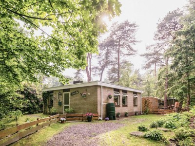 Holiday house Holiday Home in Arriën near Beerze Nature - Outdoor photo 2