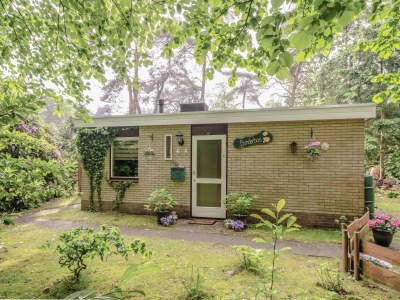 Holiday house Holiday Home in Arriën near Beerze Nature - Outdoor photo 6