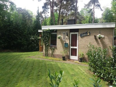 Holiday house Holiday Home in Arriën near Beerze Nature - Outdoor photo 9
