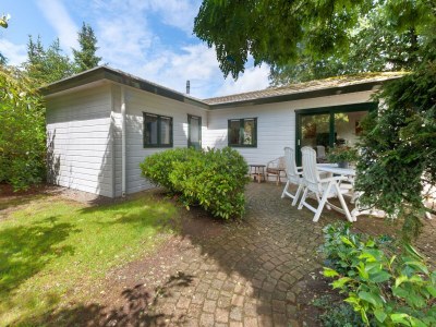 Chalet Chalet in Stegeren mit Pool und Gärten - Outdoor photo 10