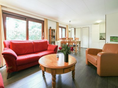 Chalet Chalet in Stegeren mit Pool und Gärten - Features photo 22
