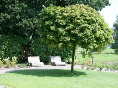 Cottage Mansion in Nijensleek with Sauna & Garden - Outdoor photo 7