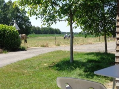 Farmhouse Farmhouse in Fochteloo near National Park - Outdoor photo 6