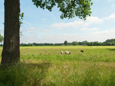 Farmhouse Farmhouse in Waskemeer with Large Garden - Environment photo 32