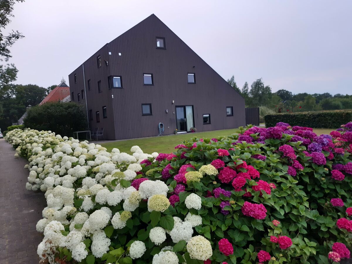 Holiday house Ferienhaus mit privater Terrasse - Outdoor photo 4