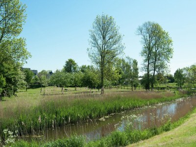 Holiday house Ferienhaus in Warns mit eigenem Steg - Environment photo 34