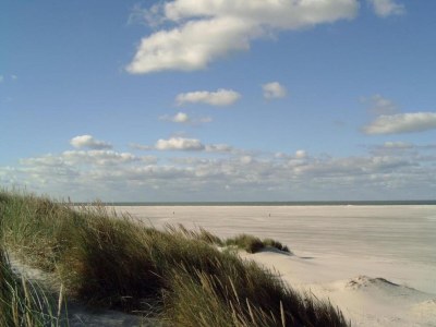 Holiday house Holiday Home Ameland near North Sea Beach - Environment photo 34