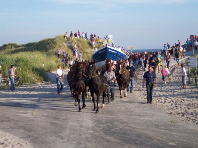 Holiday house Holiday Home Ameland near North Sea Beach - Outdoor photo 35