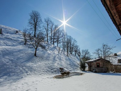 Apartment Chalet in Hopfgarten am Skilift - Outdoor photo 8