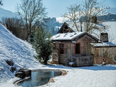 Apartment Chalet in Hopfgarten am Skilift - Outdoor photo 10