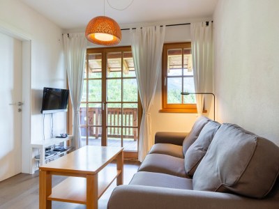 Apartment Apartment in Mittersill near Ski Bus & Slopes - Features photo 11