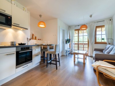 Apartment Apartment in Mittersill near Ski Bus & Slopes - Features photo 14