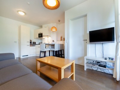 Apartment Apartment in Mittersill near Ski Bus & Slopes - Features photo 20