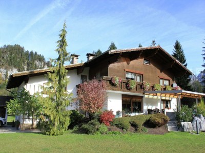 Apartment Apartment in Hinterbichl near Ski Bus in Wängle - Apartment
