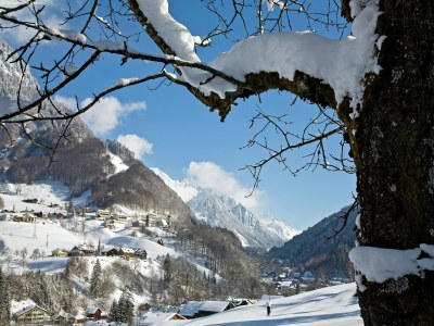 Chalet Chalet in Brand near Ski Lift & Slopes - Environment photo 23