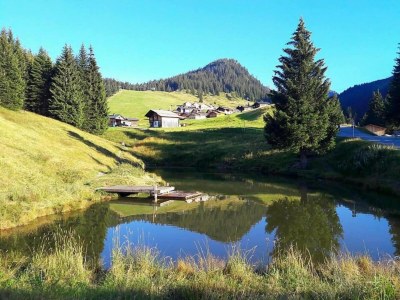 Apartment Wohnung in St. Gallenkirch beim Skigebiet - Environment photo 40