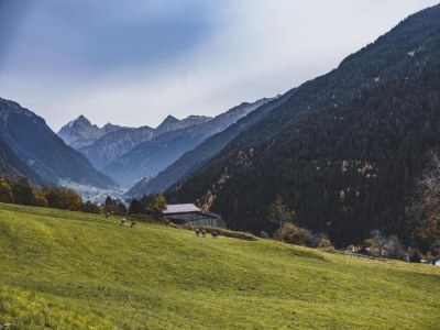 Apartment Chalet in St. Gallenkirch bei Skipisten - Environment photo 19