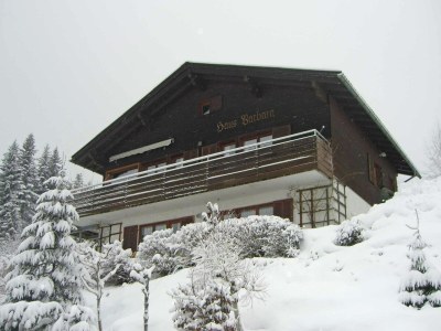 Holiday house Chalet in Vorarlberg near Ski Slopes - Outdoor photo 4