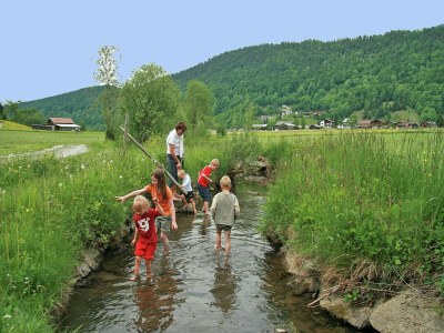 Holiday house Chalet in Vorarlberg near Ski Slopes - Environment photo 28