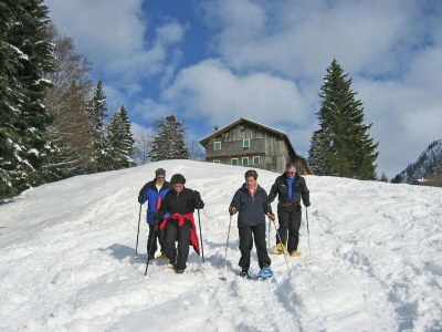 Chalet Chalet in Sibratsgfäll near Ski Slopes - Environment photo 28