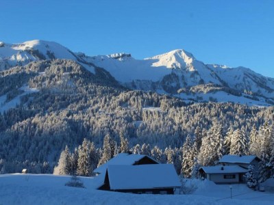 Chalet Chalet in Sibratsgfäll near Ski Slopes - Environment photo 35
