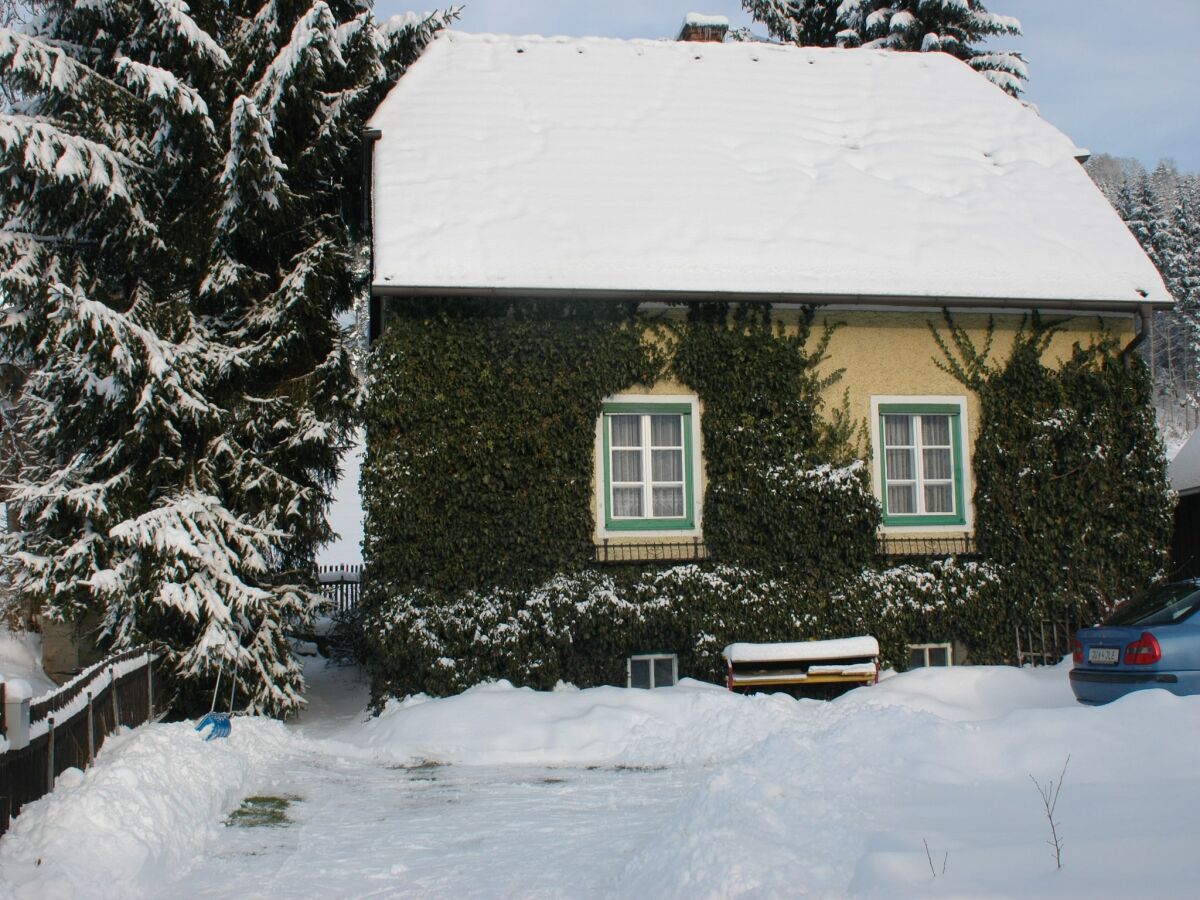 Holiday house Holiday Home in Scheifling near Ski Slopes - Outdoor photo 3