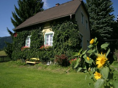 Holiday house Holiday Home in Scheifling near Ski Slopes in Niederwoelz - Holiday house