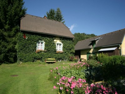Holiday house Holiday Home in Scheifling near Ski Slopes - Outdoor photo 4