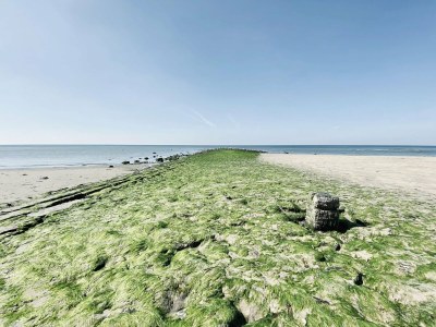 Holiday house Ferienhaus in Callantsoog mit Garten - Environment photo 36