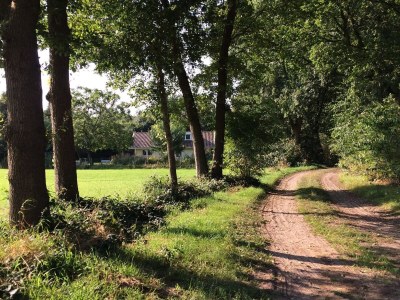 Holiday house Family residence with large garden - Environment photo 31