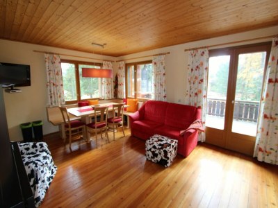 Holiday house Chalet in Turracherhöhe mit Ski-in/Ski-out - Features photo 8