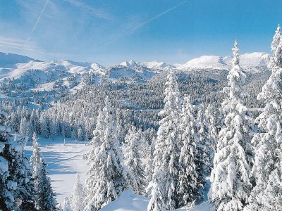 Holiday house Chalet in Turracherhöhe mit Ski-in/Ski-out - Environment photo 28