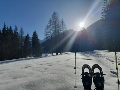 Apartment Apartment in Bodental near Ski Slopes - Outdoor photo 7