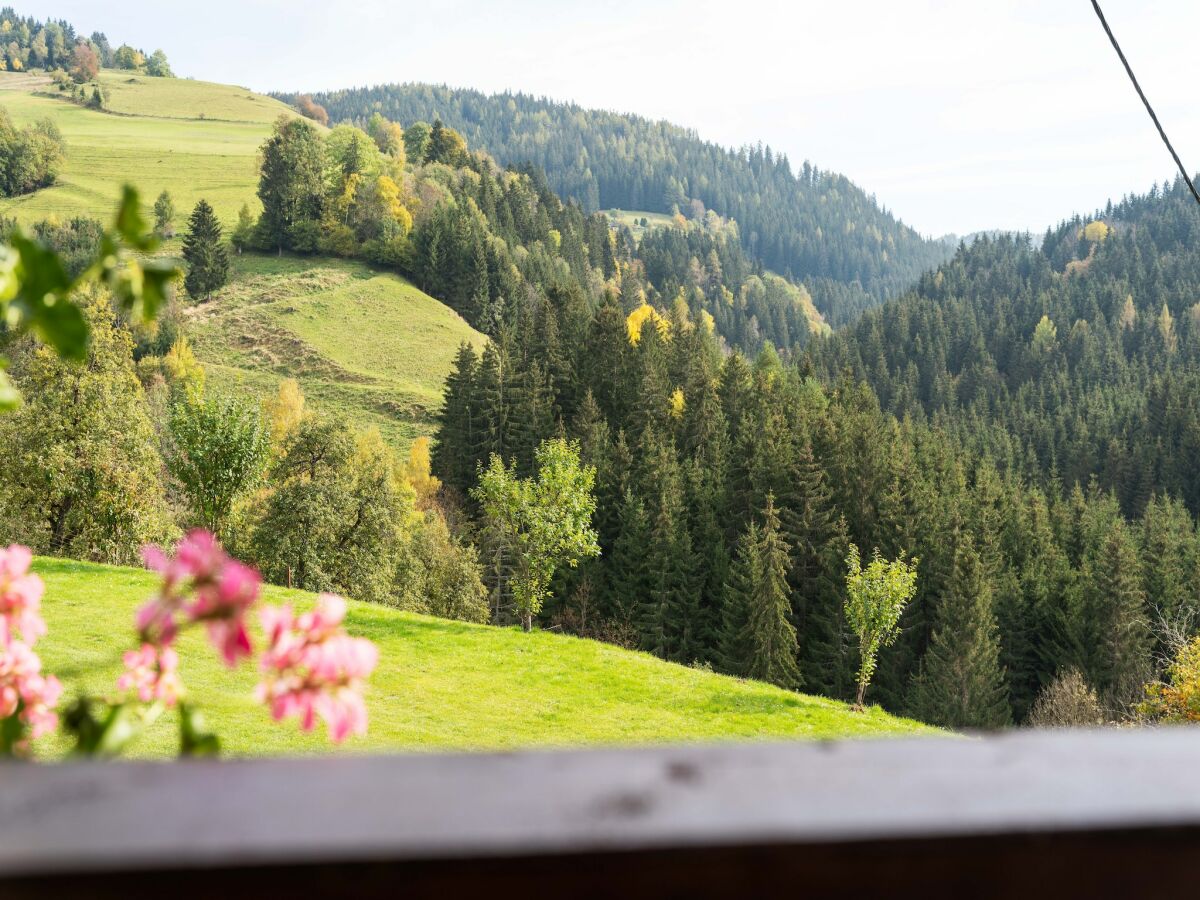 Holiday house Chalet in Eberstein near Saualpe Ski - Outdoor photo 4