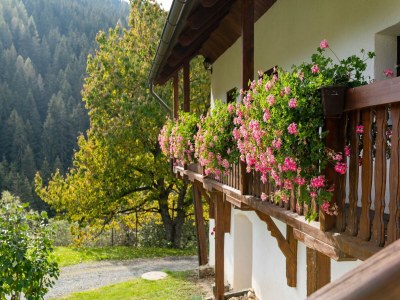 Holiday house Chalet in Eberstein near Saualpe Ski - Outdoor photo 3