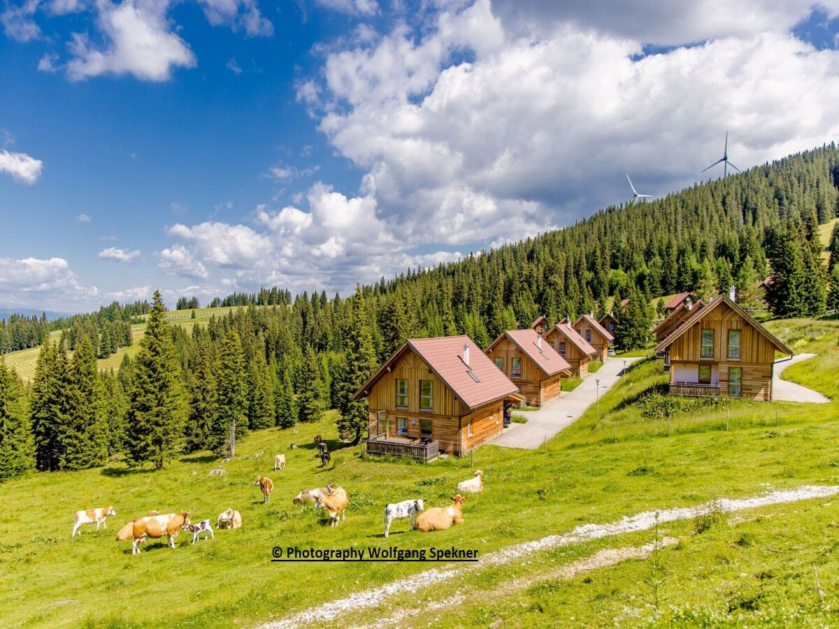 Holiday house Chalet in Alps with Private Sauna