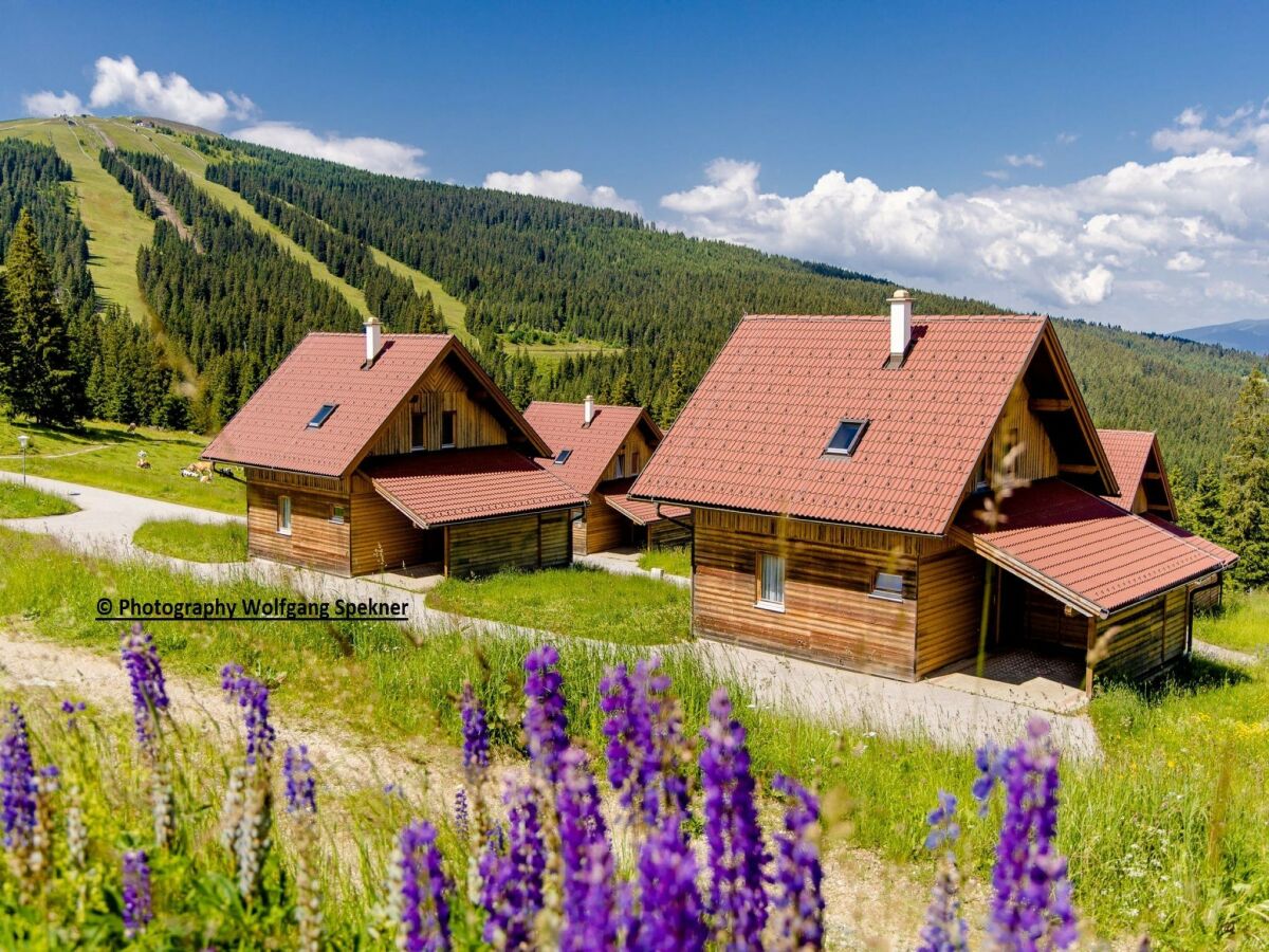 Holiday house Chalet in Alps with Private Sauna - Outdoor photo 3
