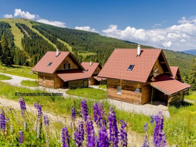 Holiday house Chalet in Alps with Private Sauna - Outdoor photo 3