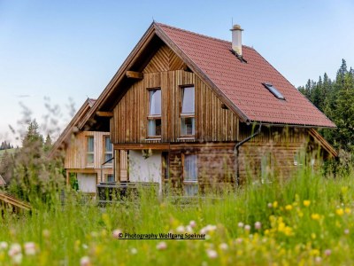 Holiday house Chalet in Alps with Private Sauna - Outdoor photo 10