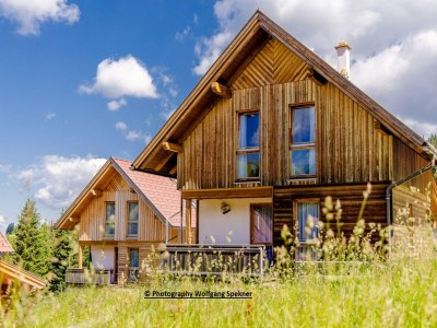 Holiday house Chalet in Alps with Private Sauna - Environment photo 34