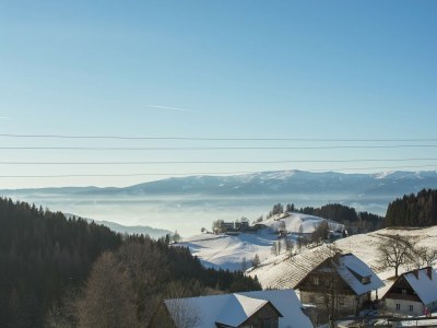 Holiday house Chalet in Alps with Private Sauna - Environment photo 35
