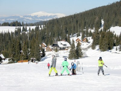 Holiday house Chalet in Alps with Private Sauna - Environment photo 39
